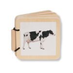 Kit Exploración 7-8 meses - Imagen 6